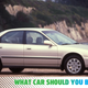 Illustration for article titled I'm Looking For My Next Car Best Friend! What Should I Buy?